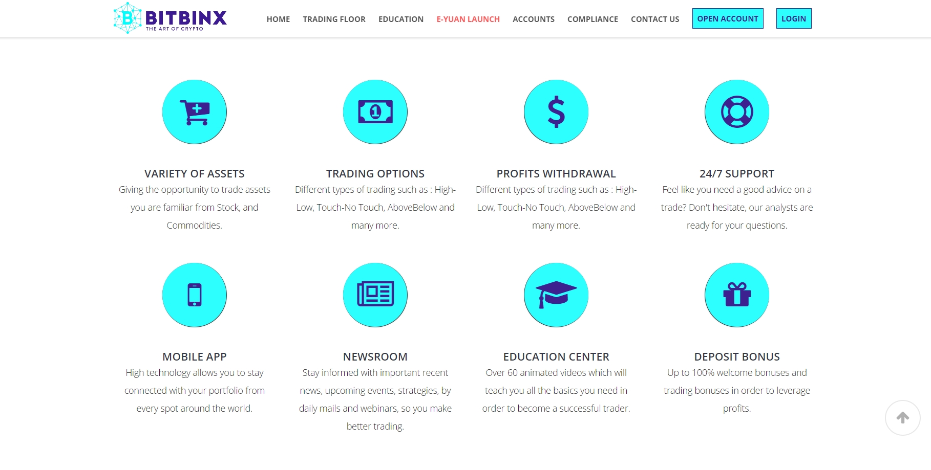 Bitbinx website