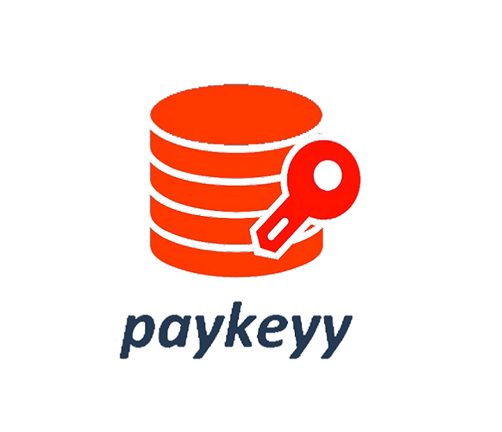 Double Your Investment with Paykeyy.com